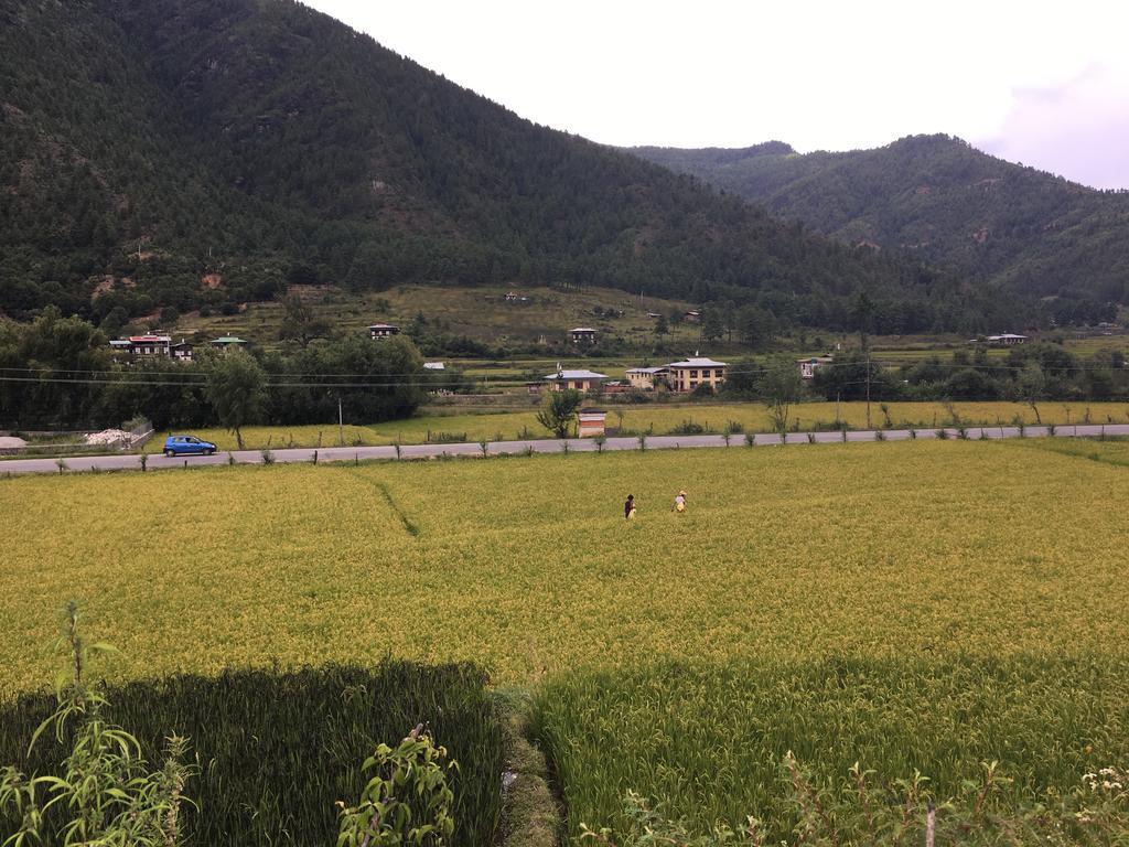 Ama'S Village Lodge Paro Luaran gambar