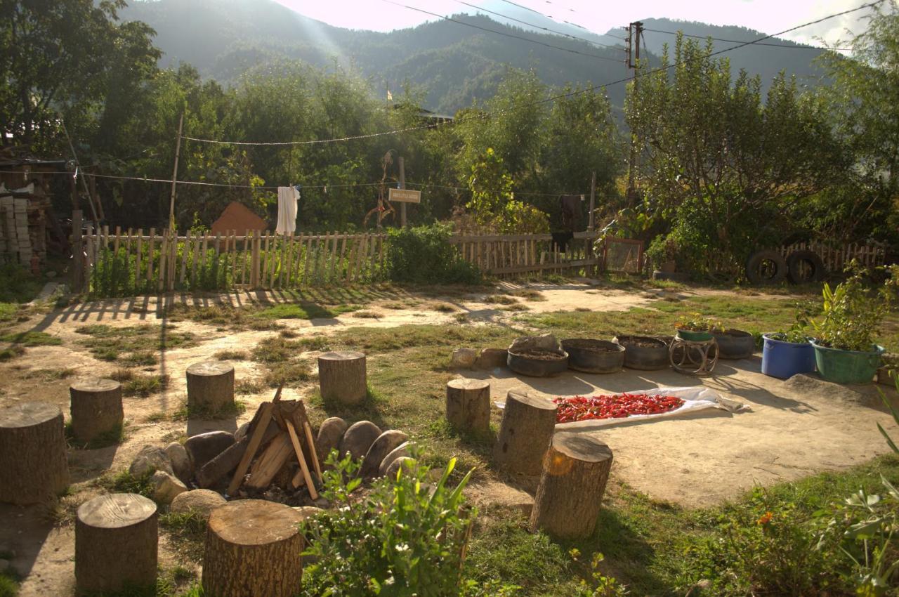 Ama'S Village Lodge Paro Luaran gambar